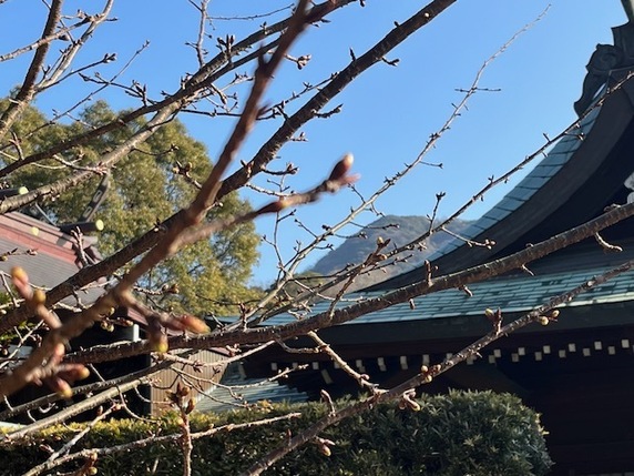 節分サムネイル