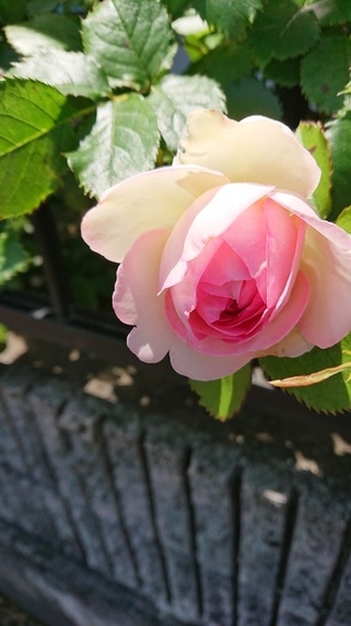 完成まで。サムネイル