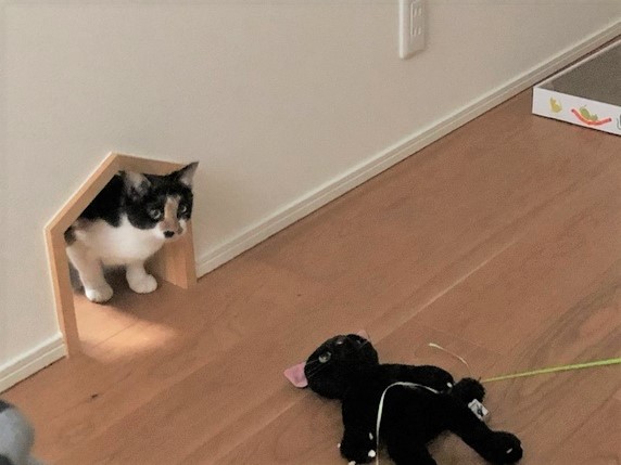 これからも・・。サムネイル