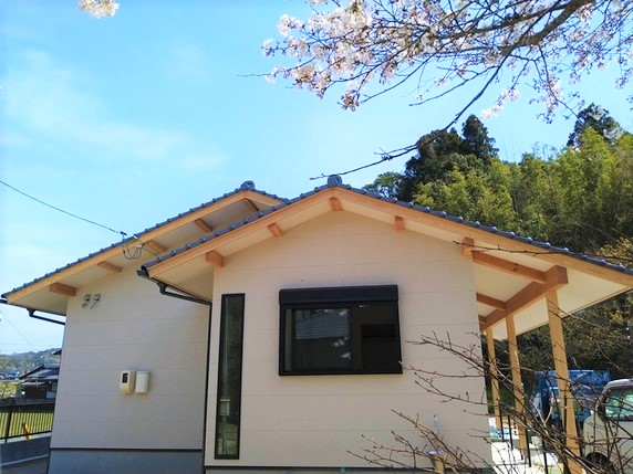 いろんな場所での桜。サムネイル