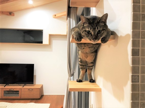 どうしたの？サムネイル