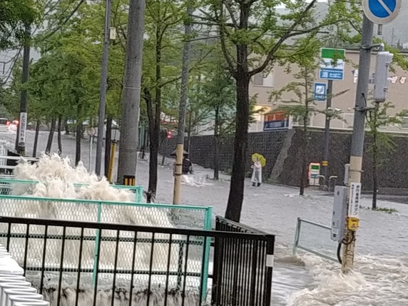 今朝の雨は。サムネイル