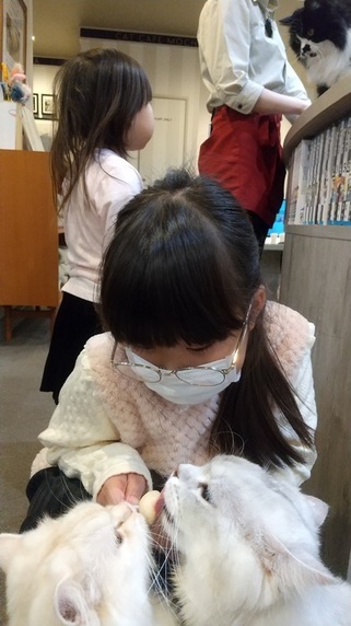 孫サムネイル