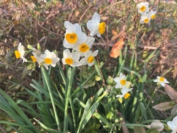 公園の風景サムネイル