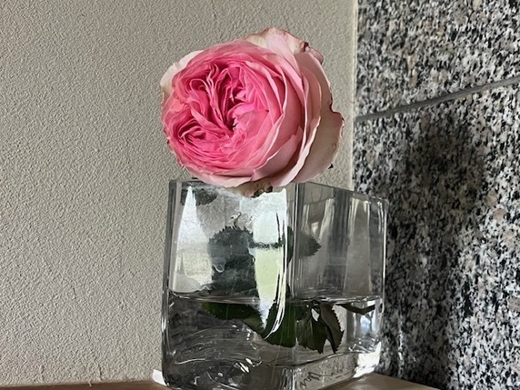 花たちサムネイル