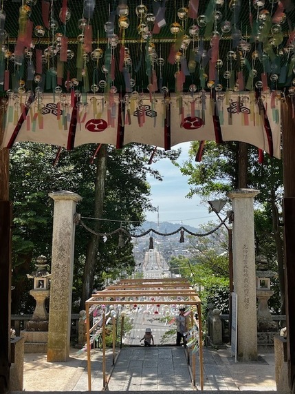 B94C6355-A2FE-4D60-B4BC-C07A483A3B35.JPG