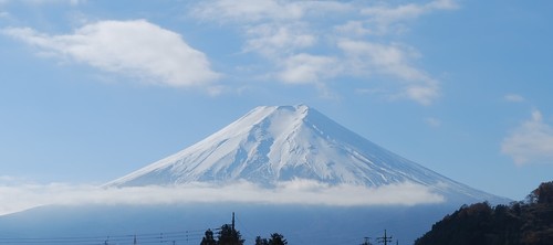 DSC_00692028229