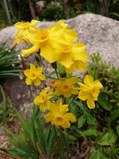 DSC_0299.JPG