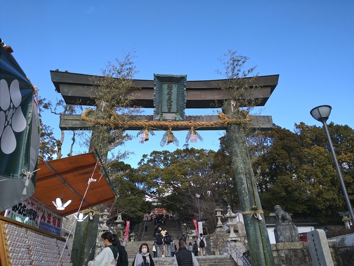 5日ですがサムネイル