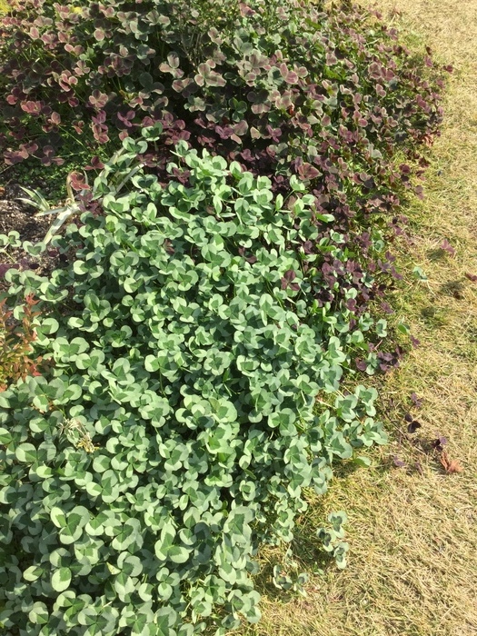 この地からはじまり。サムネイル